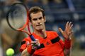 Andy Murray terus melaju...