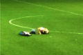 Gila, sepasang fans...