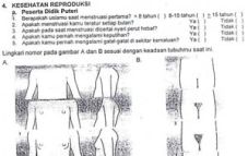 Posting kuesioner porno,...