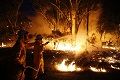 Kebakaran hutan di Australia,...
