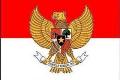 Sikap PPAD netral dalam...