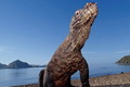 Puncak acara Sail Komodo...