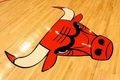 Sambut musim baru, Bulls...