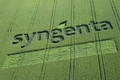 Ini upaya Syngenta mengatasi...