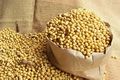 Masalah kedelai, kementerian...