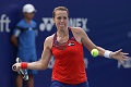 Jelang final, Pavlyuchenkova...