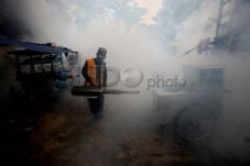 Sering diasapi, nyamuk...