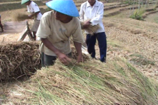 Petisi petani Indramayu...