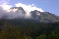 Hutan di lereng Gunung...