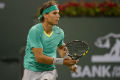 Senin, Nadal jadi petenis...