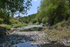 Sampah penuhi anak Sungai...