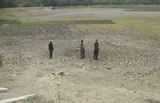 Kemarau, 40 hektar sawah...