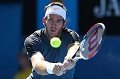 Del Potro incar peringkat...