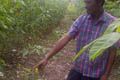 Petani karet keluhkan...