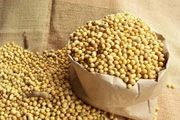 Kopanti: Harga kedelai...