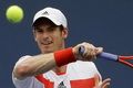 Proses penyembuhan Murray...