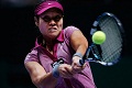 Li Na tembus babak final