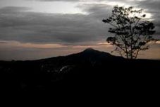 Daki Gunung Tampomas,...