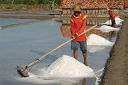 Produksi garam di Jabar...