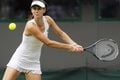 Jalan terjal Pironkova...