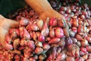 Cuaca buruk, harga bawang...