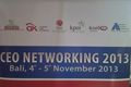 CEO Networking 2013...