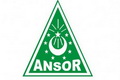 Ketua Ansor baru harus...