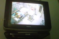 4 bulan kerja di peternakan,...