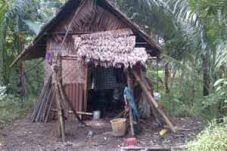 Pasangan manula hidup...