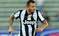 Pepe gatal ingin bermain...