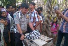 Janin bayi dikerebuti...