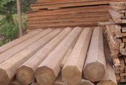 Industri kayu di Sulsel...
