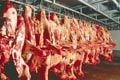 Swasembada daging