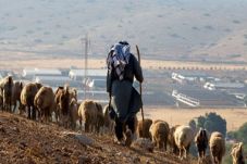 Ini cara licik Israel...
