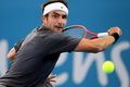 Matosevic merasa beruntung...