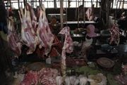 Harga daging sapi di...