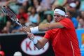 Del Potro evaluasi kekalahan...