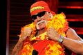 Wow, Hulk Hogan main...