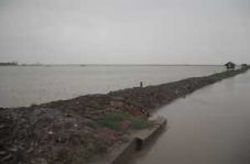 Sawah terendam, Pantura...