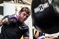 Canelo sudah mulai berlatih...