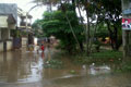 Hujan, sejumlah taman...
