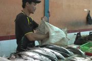 Cuaca buruk, harga ikan...