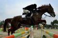 Equestrian incar emas...