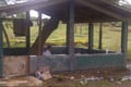 Takut kualat, warga...