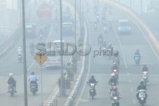 Kebakaran hutan di Riau...