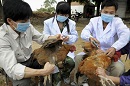 Vietnam waspadai ancaman...
