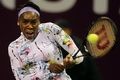Venus Williams tunggu...