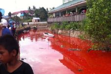 Penyebab Sungai Bontang...