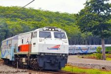 Bandara lumpuh, penumpang...