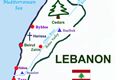 Pemerintahan baru Libanon...